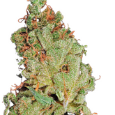AFGOOEY - GREEN HOUSE SEED CO